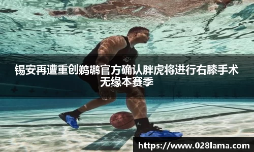 锡安再遭重创鹈鹕官方确认胖虎将进行右膝手术无缘本赛季